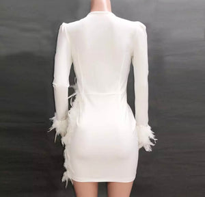 Elegant Mesh/ Feather Mini Dress